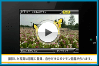 動画を見る
