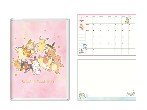 ほのおタイプ（B6）