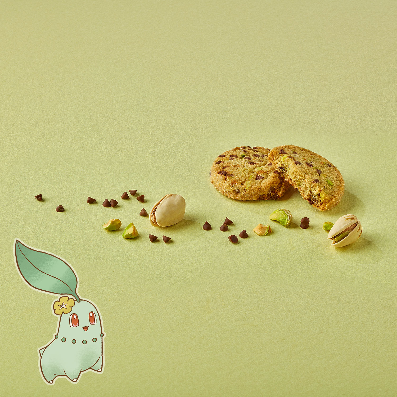 エンボス缶入りカカオサブレアソート Cuwawa’s Flower Gifts