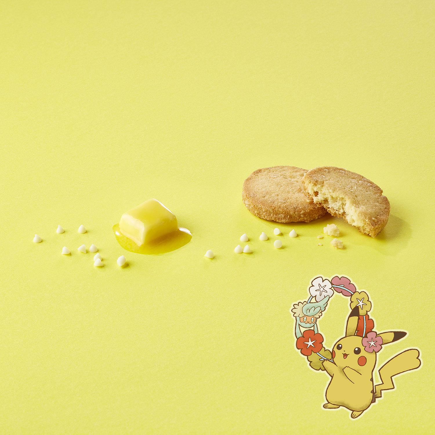 エンボス缶入りカカオサブレアソート Cuwawa’s Flower Gifts