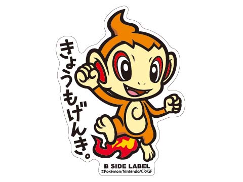 ヒコザル「きょうもげんき。」