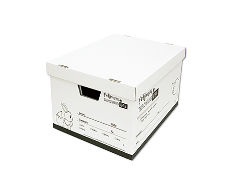 ポケモン スローイングボックス