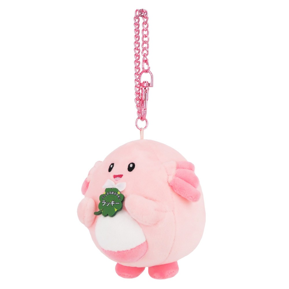 ふくしま応援ポケモン ラッキー
マスコット