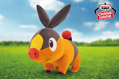 ポカブ｜ポケモンずかん