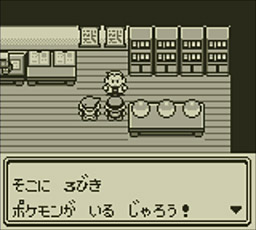 GB ゲームボーイ ポケットモンスター赤  初期 初代