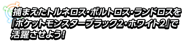 捕まえたトルネロス・ボルトロス・ランドロスを『ポケットモンスターブラック２・ホワイト２』で活躍させよう！