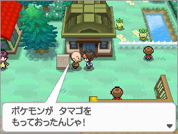 わすれものを届けて 隠れ特性のポケモンを手に入れよう ポケットモンスターブラック２ ホワイト２ 公式サイト