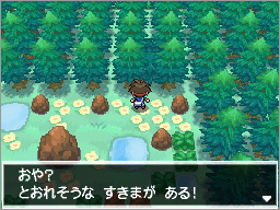 ゲーム画面3：隠れ特性を持つポケモンが出現する「隠し穴」