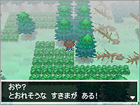 ゲーム画面5：隠れ特性を持つポケモンが出現する「隠し穴」