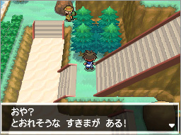 ゲーム画面7：隠れ特性を持つポケモンが出現する「隠し穴」