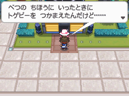 ゲーム画面5：ポケモン全国図鑑の完成を目指せ！