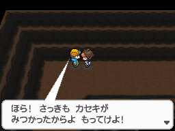 ゲーム画面7：ポケモン全国図鑑の完成を目指せ！