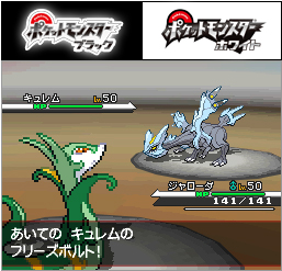 DSソフト ポケットモンスター ブラック2 ホワイト2 ポケモン