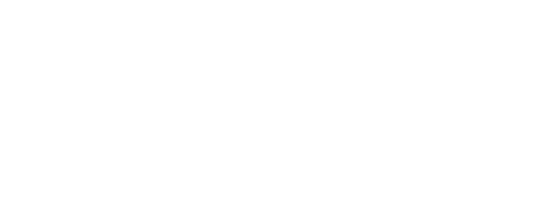 これまでに発見されていた姿