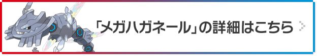 「メガハガネール」の詳細はこちら