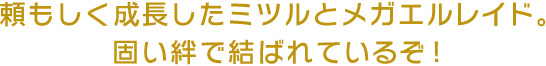 頼もしく成長したミツルとメガエルレイド。固い絆で結ばれているぞ！
