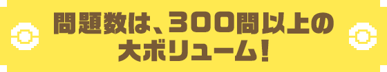 問題数は、300問以上の大ボリューム!