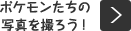 ポケモンたちの写真を撮ろう！