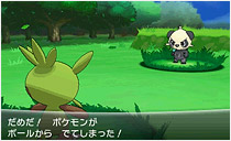 ポケモンを捕まえて 仲間にしよう ポケットモンスター ｘ ポケットモンスター ｙ 公式サイト