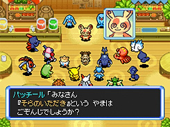 あたらしいエピソード そらのいただき 特集 ポケモン不思議の