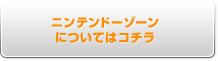 ニンテンドーゾーンについてはコチラ