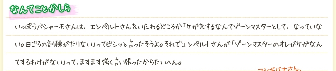 なんてことかしら いっぽうバシャーモさんは、エンペルトさんをいたわるどころか「ケガをするなんてゾーンマスターとして、なっていない。日ごろの訓練がたりない」ってビシッと言ったそうよ。それでエンペルトさんが「ゾーンマスターのオレがケガなんてするわけがない」って、ますます強く言い張ったからたいへん。